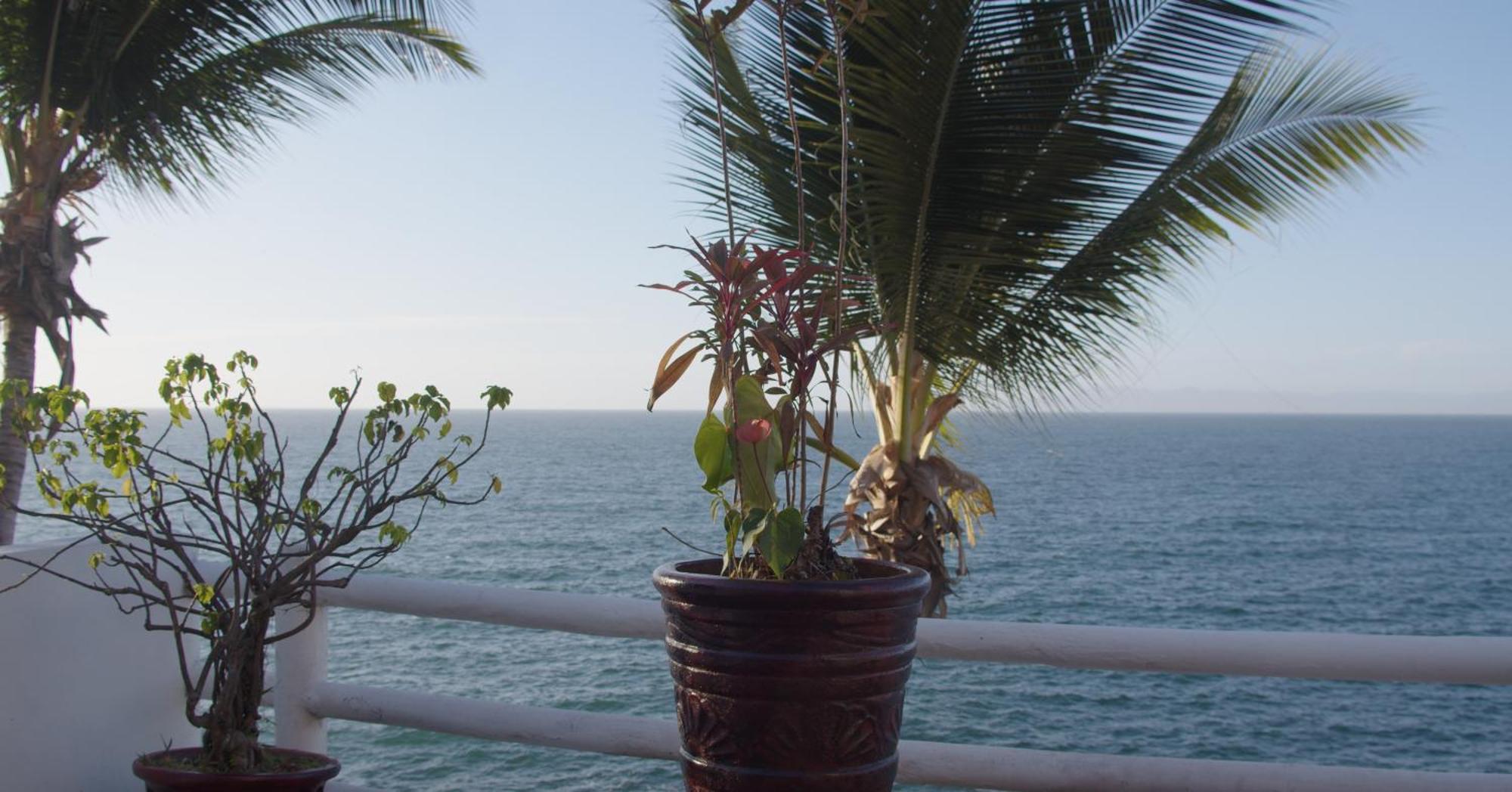 Traditional Sierra Leon Oceanfront Rooms - Adults Only Пуерто Валярта Екстериор снимка